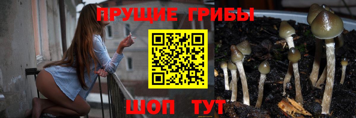 Галлюциногенные грибы Psilocybine cubensis  Галлюциногенные грибы прущие грибы  Вход с VPN  Котлас 